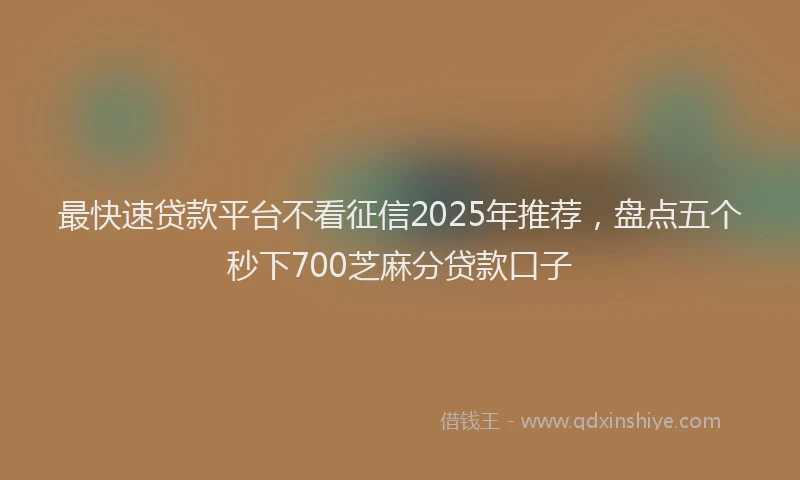 最快速贷款平台不看征信2025年推荐，盘点五个秒下700芝麻分贷款口子