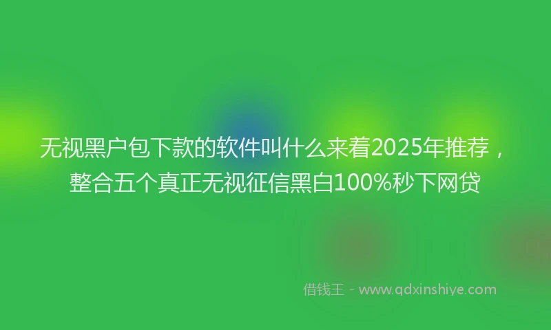无视黑户包下款的软件叫什么来着2025年推荐，整合五个真正无视征信黑白100%秒下网贷