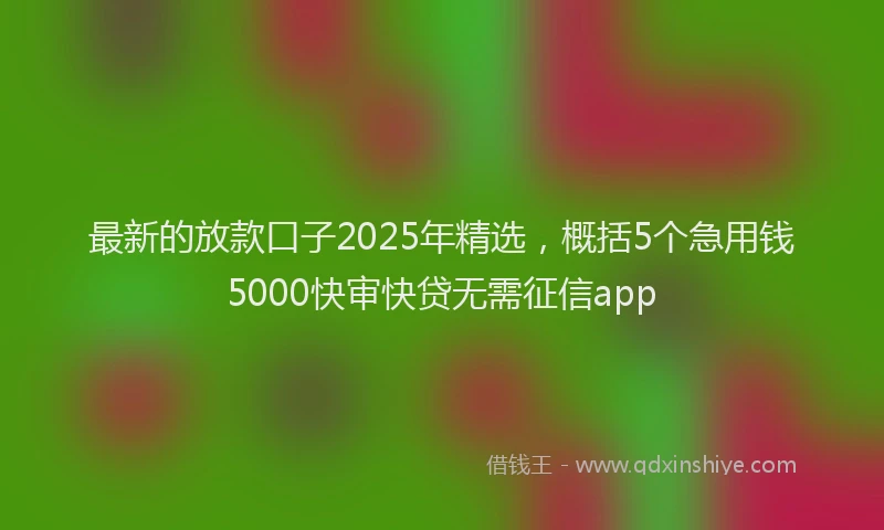 最新的放款口子2025年精选，概括5个急用钱5000快审快贷无需征信app