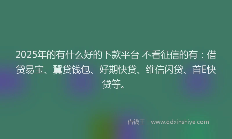 2025年的有什么好的下款平台 不看征信的有：借贷易宝、翼贷钱包、好期快贷、维信闪贷、首E快贷等。