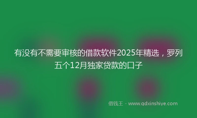 有没有不需要审核的借款软件2025年精选，罗列五个12月独家贷款的口子