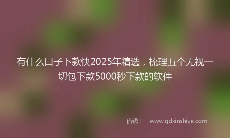 有什么口子下款快2025年精选，梳理五个无视一切包下款5000秒下款的软件