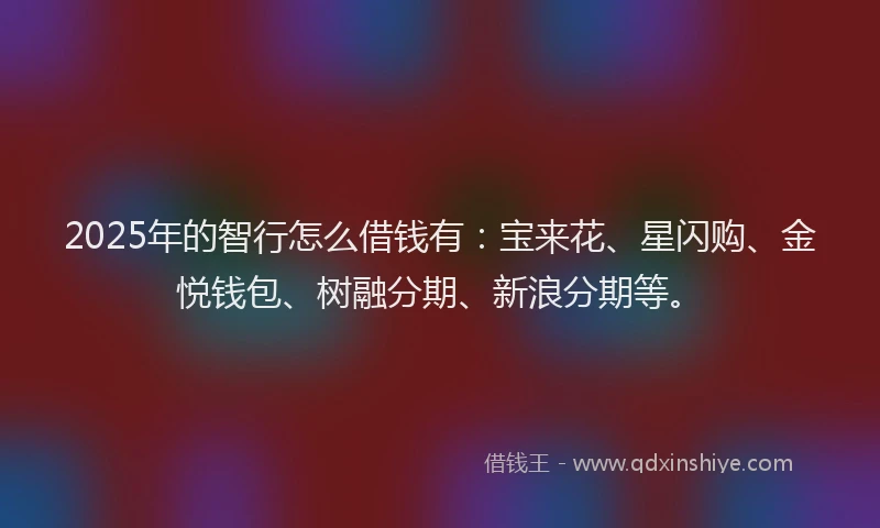 2025年的智行怎么借钱有：宝来花、星闪购、金悦钱包、树融分期、新浪分期等。