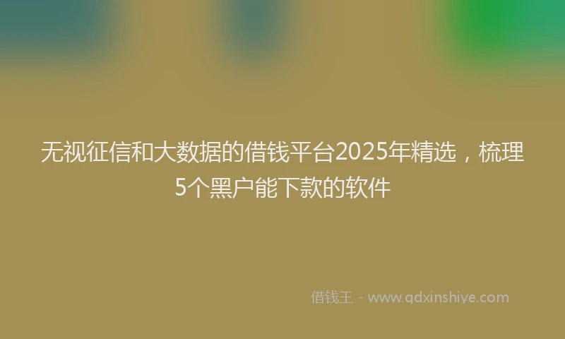 无视征信和大数据的借钱平台2025年精选，梳理5个黑户能下款的软件