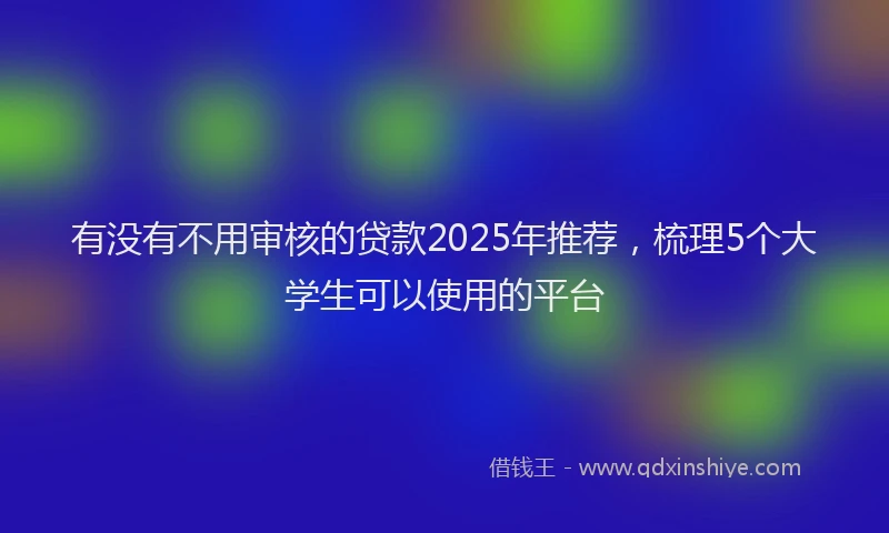 有没有不用审核的贷款2025年推荐，梳理5个大学生可以使用的平台
