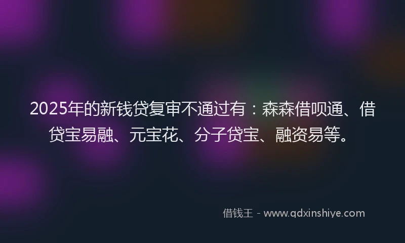2025年的新钱贷复审不通过有：森森借呗通、借贷宝易融、元宝花、分子贷宝、融资易等。