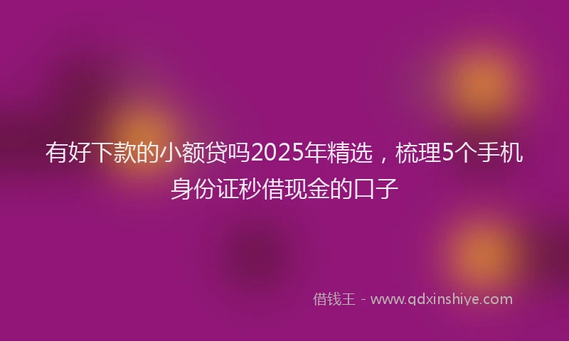 有好下款的小额贷吗2025年精选，梳理5个手机身份证秒借现金的口子