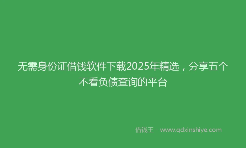 无需身份证借钱软件下载2025年精选，分享五个不看负债查询的平台
