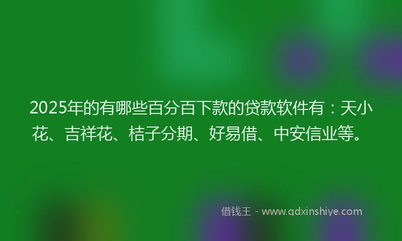 2025年的有哪些百分百下款的贷款软件有：天小花、吉祥花、桔子分期、好易借、中安信业等。
