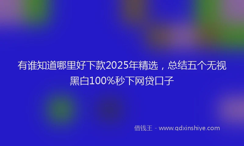 有谁知道哪里好下款2025年精选，总结五个无视黑白100%秒下网贷口子