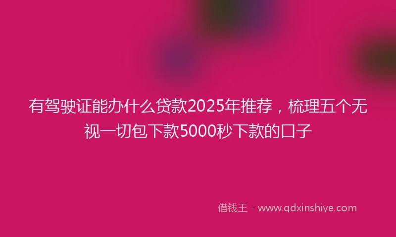 有驾驶证能办什么贷款2025年推荐，梳理五个无视一切包下款5000秒下款的口子