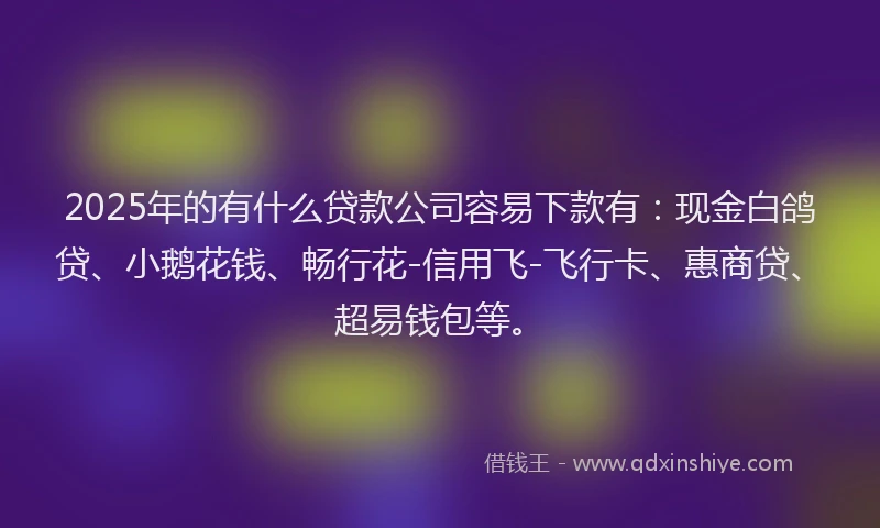 2025年的有什么贷款公司容易下款有：现金白鸽贷、小鹅花钱、畅行花-信用飞-飞行卡、惠商贷、超易钱包等。