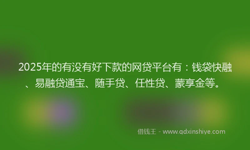 2025年的有没有好下款的网贷平台有：钱袋快融、易融贷通宝、随手贷、任性贷、蒙享金等。