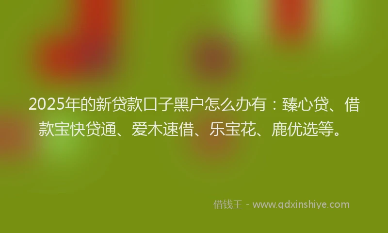 2025年的新贷款口子黑户怎么办有：臻心贷、借款宝快贷通、爱木速借、乐宝花、鹿优选等。