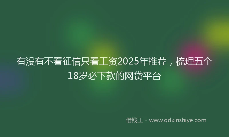 有没有不看征信只看工资2025年推荐，梳理五个18岁必下款的网贷平台