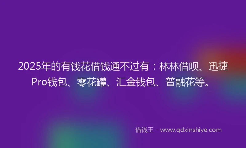 2025年的有钱花借钱通不过有：林林借呗、迅捷Pro钱包、零花罐、汇金钱包、普融花等。