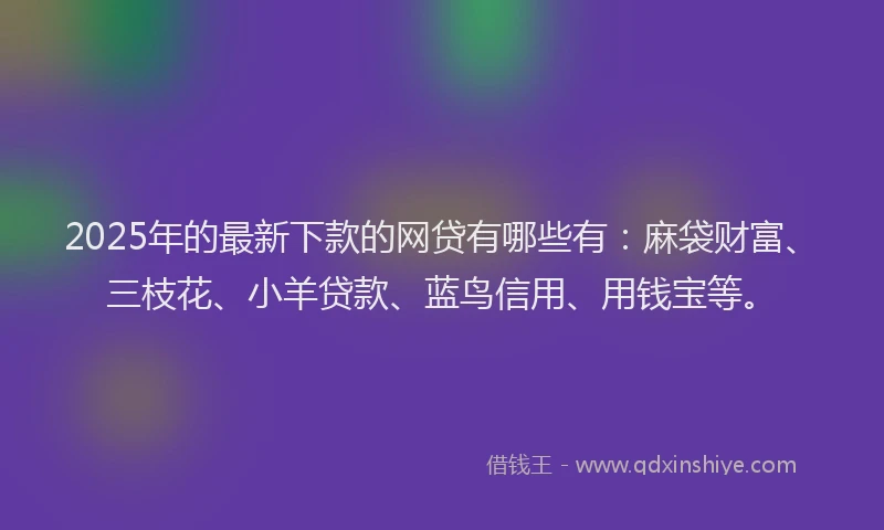 2025年的最新下款的网贷有哪些有：麻袋财富、三枝花、小羊贷款、蓝鸟信用、用钱宝等。