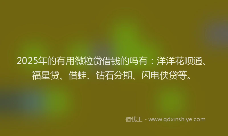 2025年的有用微粒贷借钱的吗有：洋洋花呗通、福星贷、借蛙、钻石分期、闪电侠贷等。