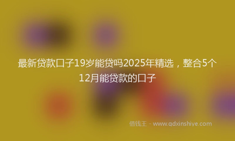 最新贷款口子19岁能贷吗2025年精选，整合5个12月能贷款的口子