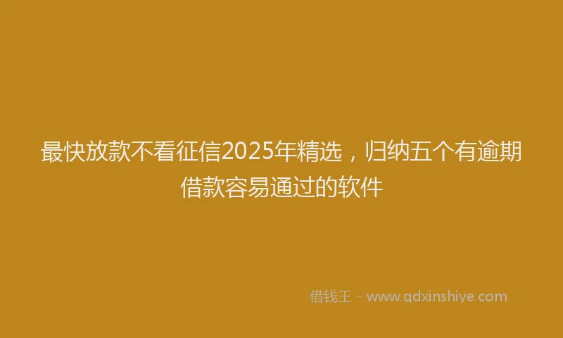 最快放款不看征信2025年精选，归纳五个有逾期借款容易通过的软件