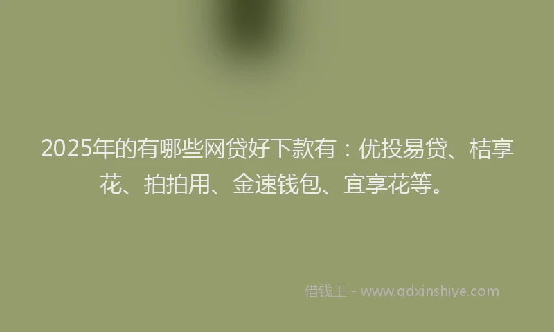 2025年的有哪些网贷好下款有：优投易贷、桔享花、拍拍用、金速钱包、宜享花等。