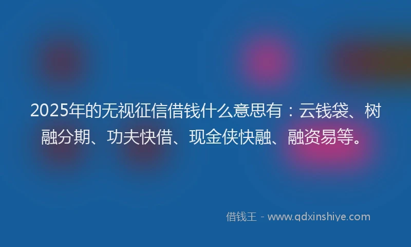 2025年的无视征信借钱什么意思有：云钱袋、树融分期、功夫快借、现金侠快融、融资易等。