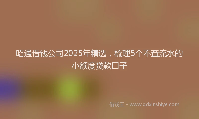 昭通借钱公司2025年精选，梳理5个不查流水的小额度贷款口子