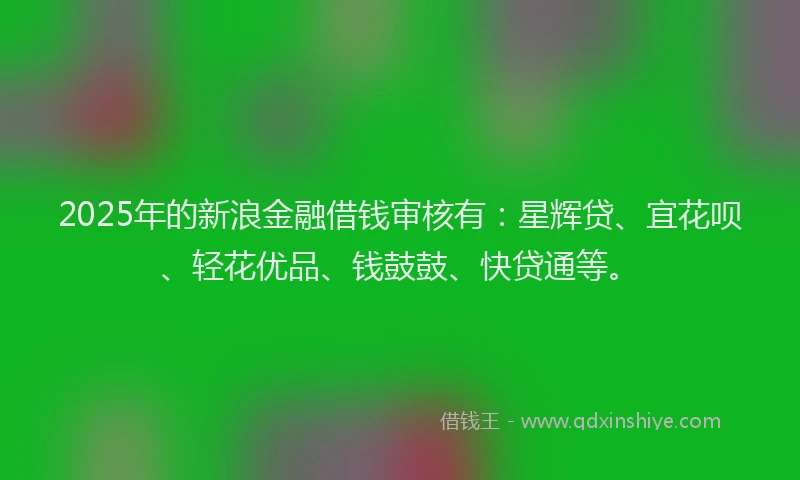 2025年的新浪金融借钱审核有：星辉贷、宜花呗、轻花优品、钱鼓鼓、快贷通等。