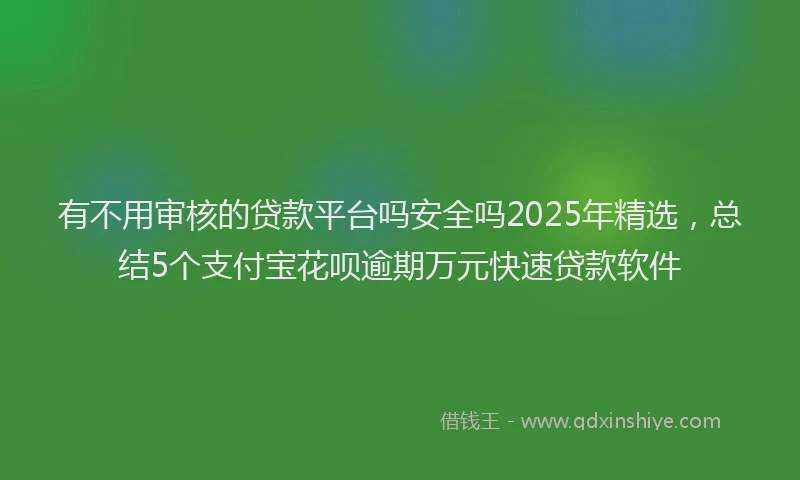有不用审核的贷款平台吗安全吗2025年精选，总结5个支付宝花呗逾期万元快速贷款软件
