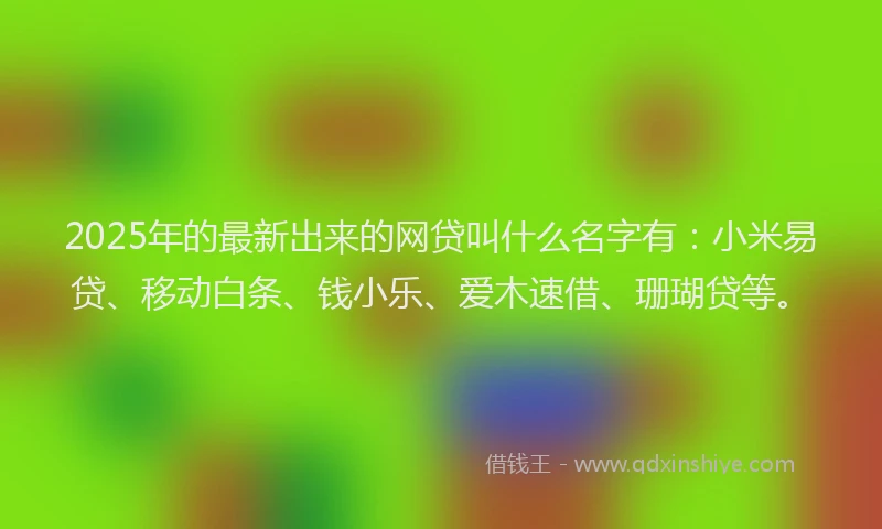 2025年的最新出来的网贷叫什么名字有：小米易贷、移动白条、钱小乐、爱木速借、珊瑚贷等。