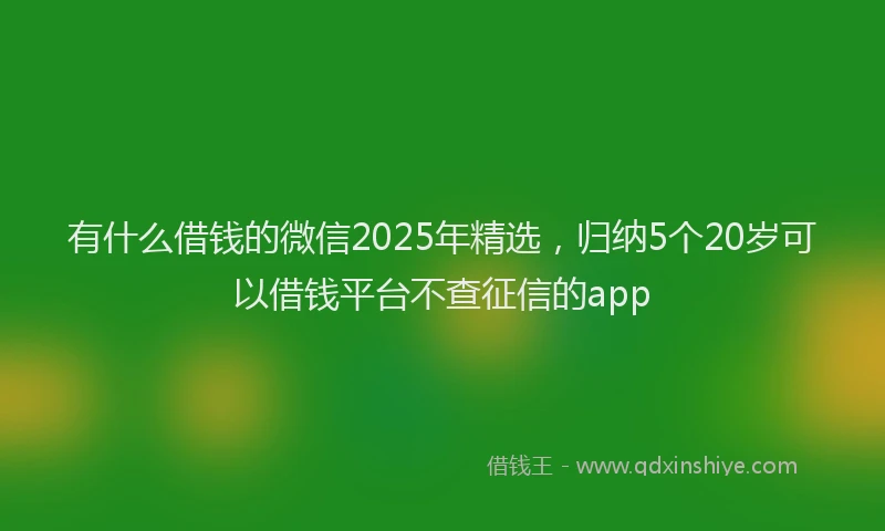 有什么借钱的微信2025年精选，归纳5个20岁可以借钱平台不查征信的app