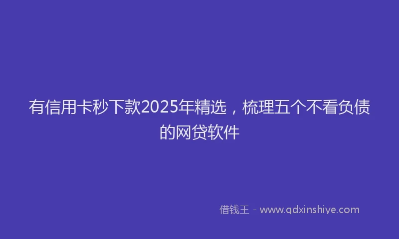 有信用卡秒下款2025年精选，梳理五个不看负债的网贷软件