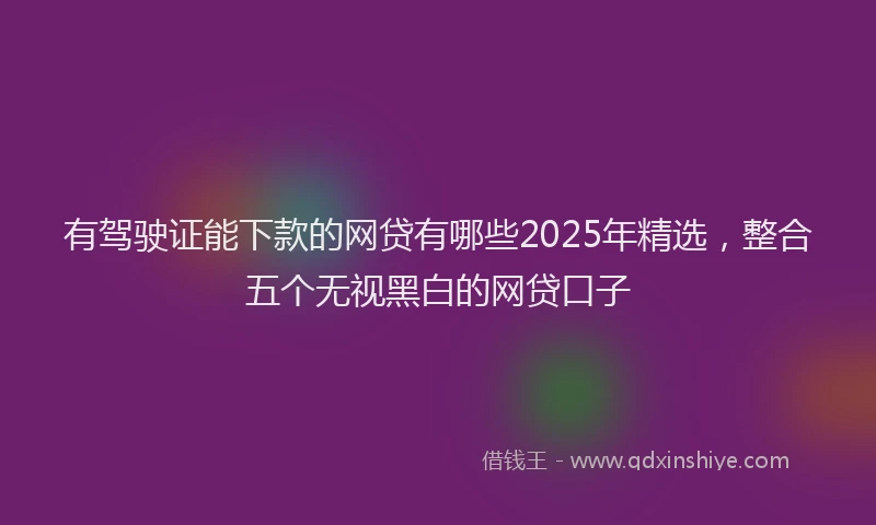 有驾驶证能下款的网贷有哪些2025年精选，整合五个无视黑白的网贷口子
