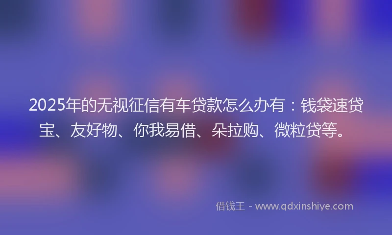 2025年的无视征信有车贷款怎么办有：钱袋速贷宝、友好物、你我易借、朵拉购、微粒贷等。