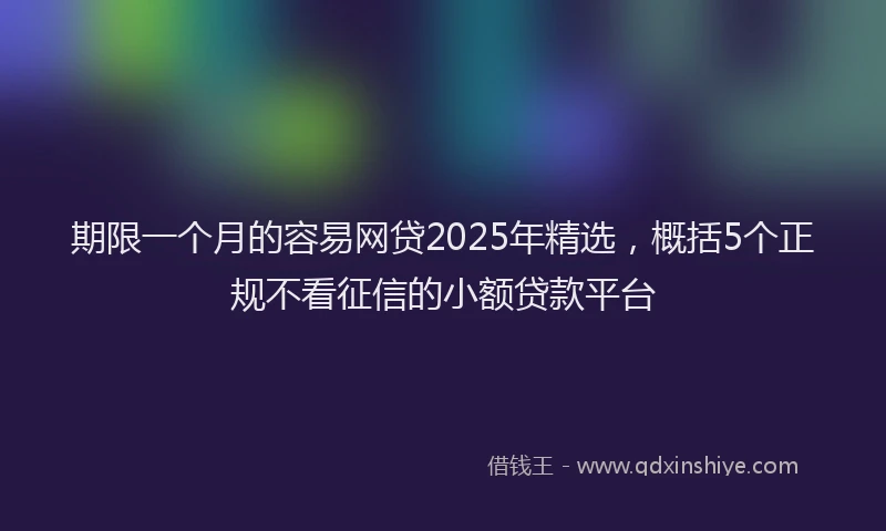 期限一个月的容易网贷2025年精选，概括5个正规不看征信的小额贷款平台
