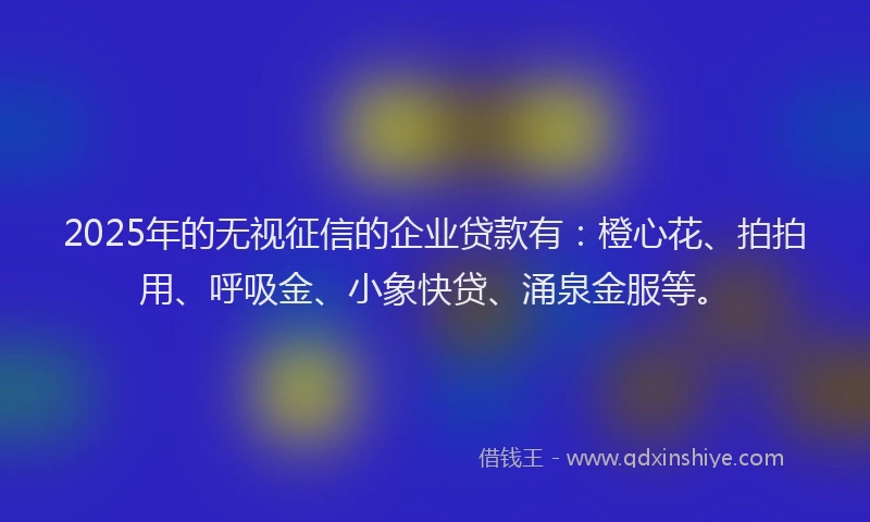 2025年的无视征信的企业贷款有：橙心花、拍拍用、呼吸金、小象快贷、涌泉金服等。