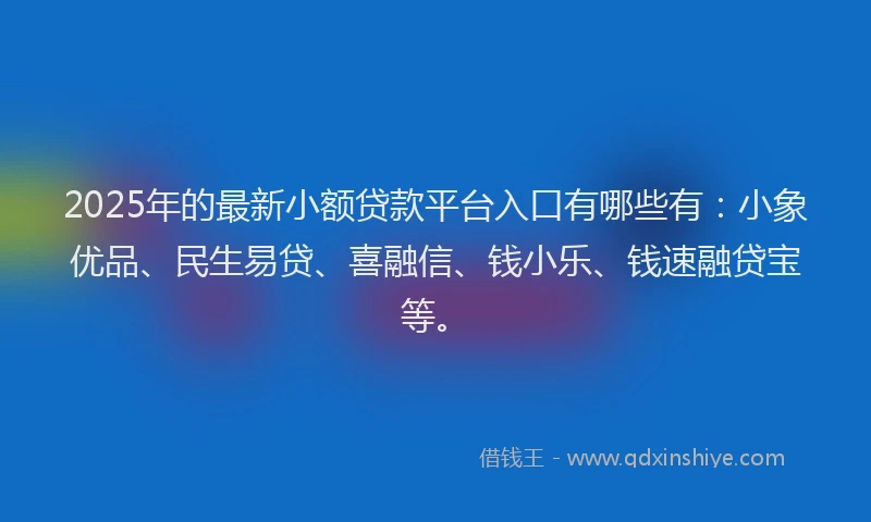 2025年的最新小额贷款平台入口有哪些有：小象优品、民生易贷、喜融信、钱小乐、钱速融贷宝等。