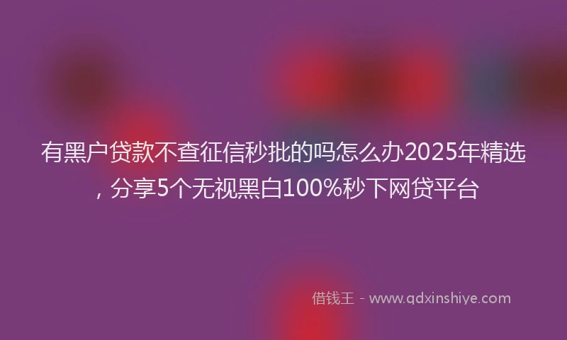 有黑户贷款不查征信秒批的吗怎么办2025年精选，分享5个无视黑白100%秒下网贷平台
