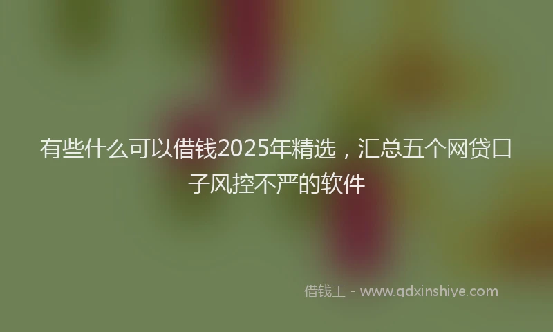 有些什么可以借钱2025年精选，汇总五个网贷口子风控不严的软件