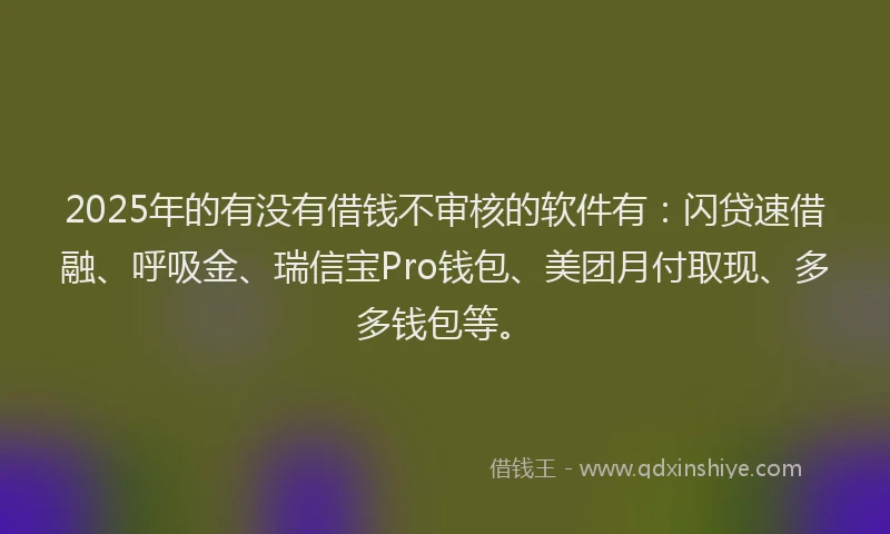 2025年的有没有借钱不审核的软件有：闪贷速借融、呼吸金、瑞信宝Pro钱包、美团月付取现、多多钱包等。