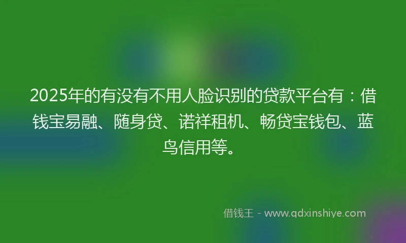 2025年的有没有不用人脸识别的贷款平台有：借钱宝易融、随身贷、诺祥租机、畅贷宝钱包、蓝鸟信用等。