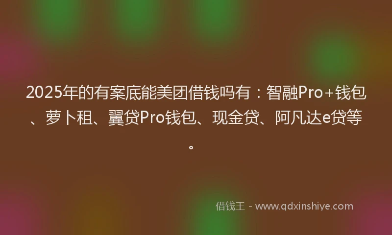 2025年的有案底能美团借钱吗有：智融Pro+钱包、萝卜租、翼贷Pro钱包、现金贷、阿凡达e贷等。
