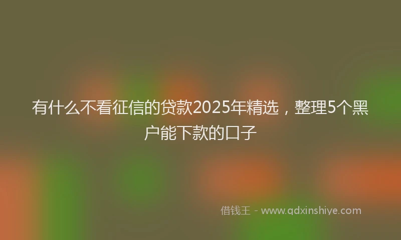 有什么不看征信的贷款2025年精选，整理5个黑户能下款的口子