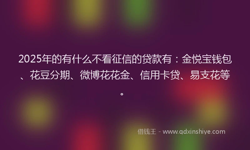 2025年的有什么不看征信的贷款有：金悦宝钱包、花豆分期、微博花花金、信用卡贷、易支花等。