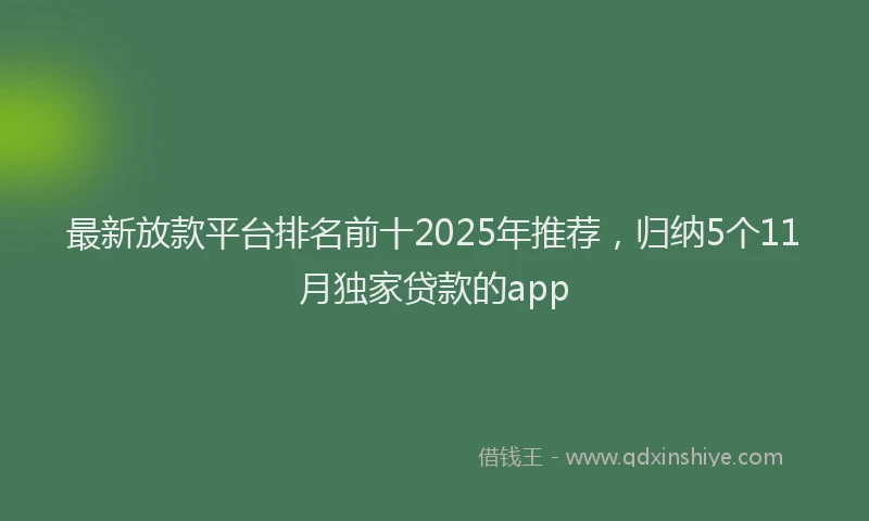 最新放款平台排名前十2025年推荐，归纳5个11月独家贷款的app