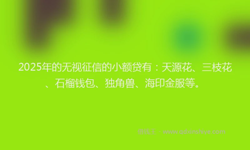 2025年的无视征信的小额贷有：天源花、三枝花、石榴钱包、独角兽、海印金服等。