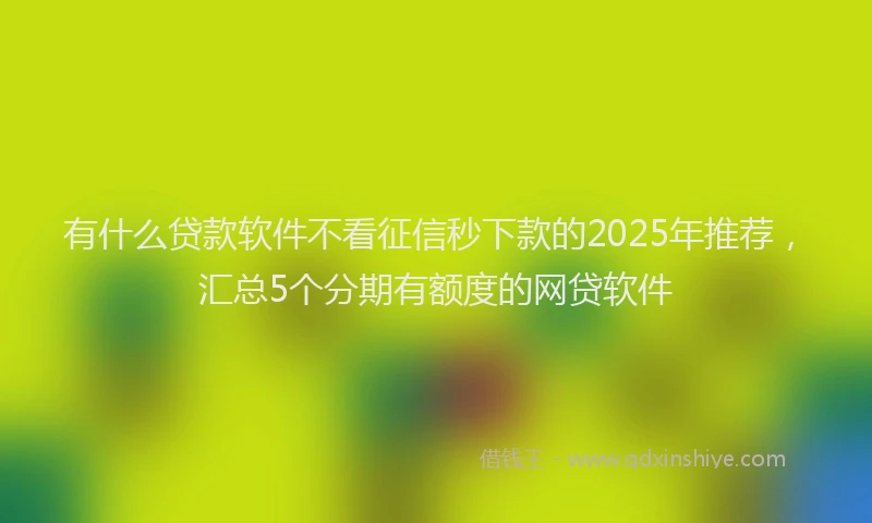 有什么贷款软件不看征信秒下款的2025年推荐，汇总5个分期有额度的网贷软件