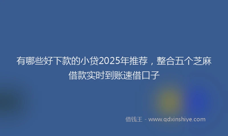 有哪些好下款的小贷2025年推荐，整合五个芝麻借款实时到账速借口子