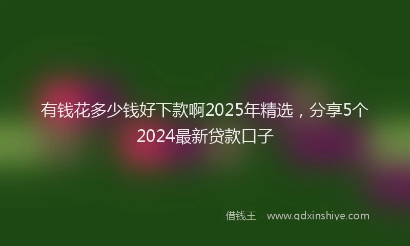 有钱花多少钱好下款啊2025年精选，分享5个2024最新贷款口子