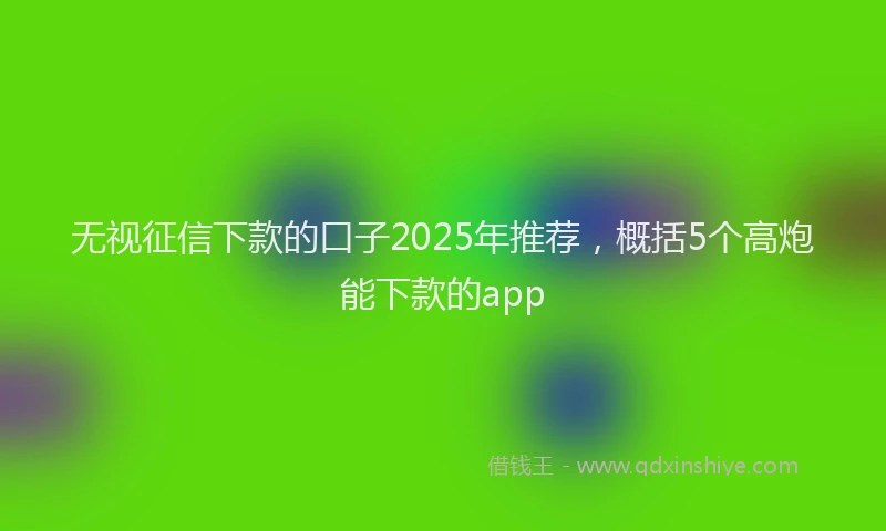 无视征信下款的口子2025年推荐，概括5个高炮能下款的app
